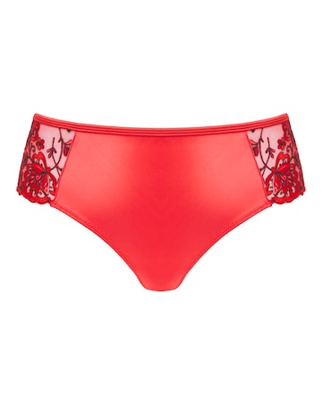 Contemporary Embroidery Midi Brief