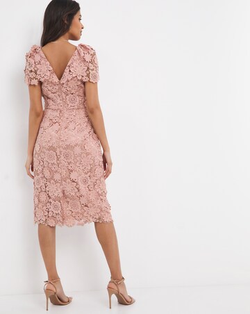 Joanna Hope Blush 3D Lace Midi Dress