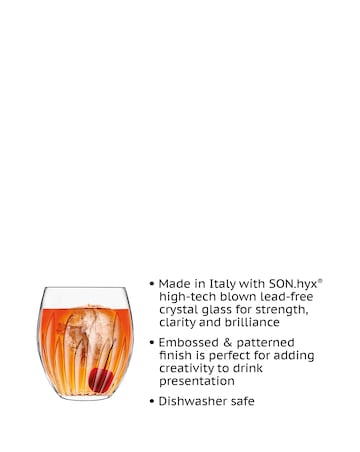 Luigi Bormioli Mixology Set Of 6 Tumblers