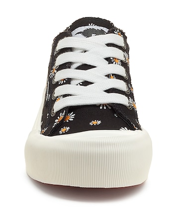Rocket Dog Dixie Daisy Jazzin Plus Lace Up Canvas Trainers