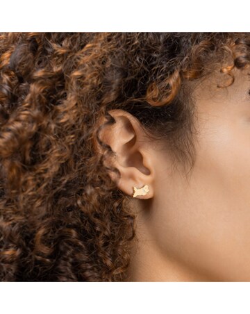 Radley Gold Leather Strap Watch, Gold Plated Earring Pair & Tray Set