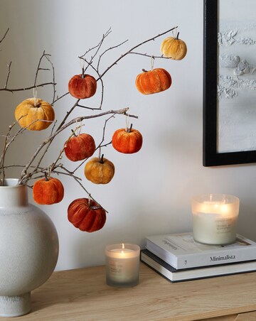 Gisela Graham Halloween Velvet Mini Pumpkin Decorations