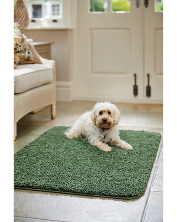 Buddy Washable & Stain Resistant Rug