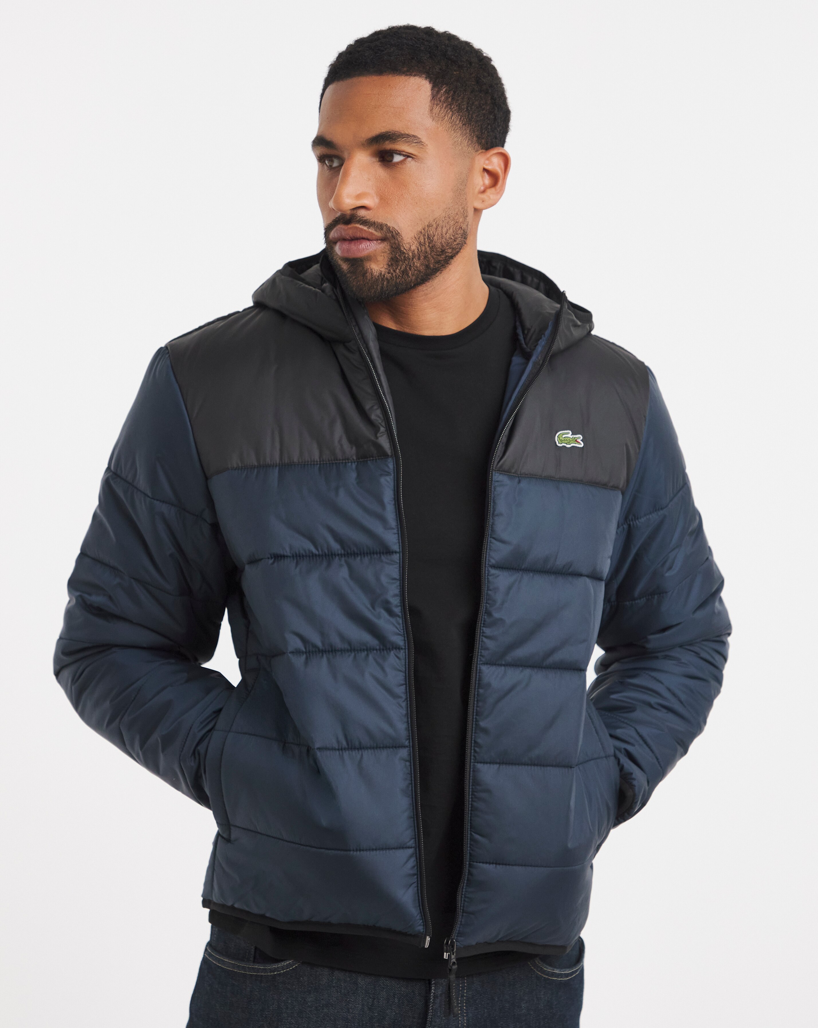 Lacoste Classic Hooded Navy Padded Jacket | JD Williams