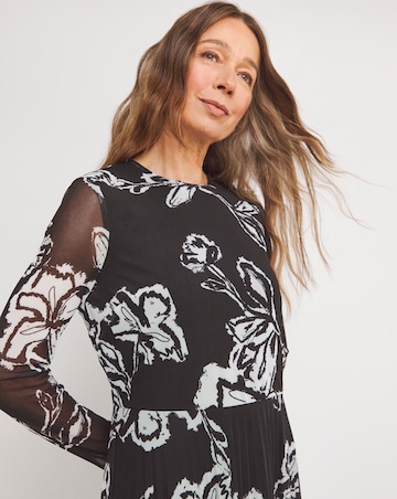 Mesh Pleated Ballet Dress