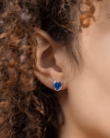 Radley Blue Stone Silver Earrings