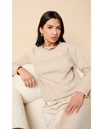 Little Mistress Taupe Embellished Knitted Jumper