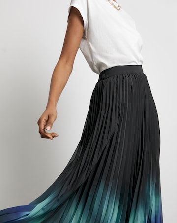 Joanna Hope Ombre Pleated Skirt