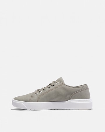 Timberland Seneca Bay Low Lace Sneaker - Light Taupe