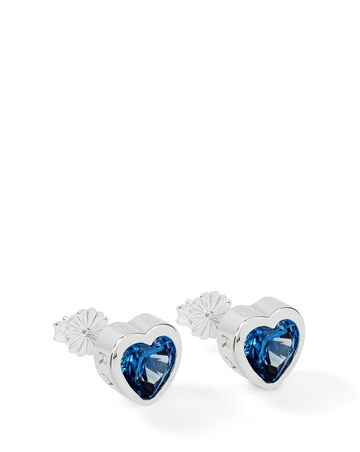 Radley Blue Stone Silver Earrings