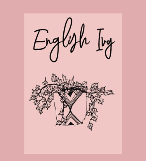 English Ivy illustration