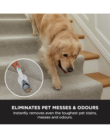 Shark StainStriker Max Spot Washer with TruePet PX200UKT