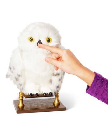Harry Potter Enchanting Hedwig