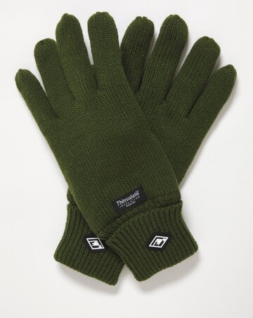 Mens Thinsulate X Snowdonia Gloves