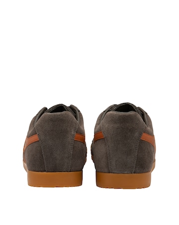 Gola Men's Harrier Trainer - Dark Brown