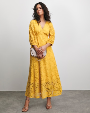 Joanna Hope Stretch Lace Dress