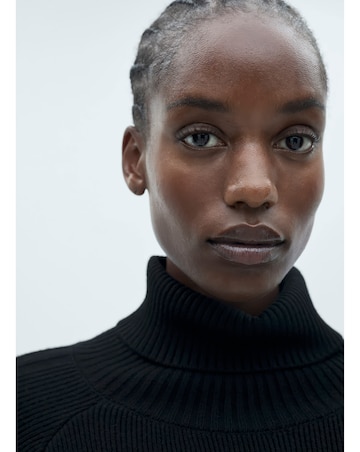 Mango Zambu Roll Neck Dress