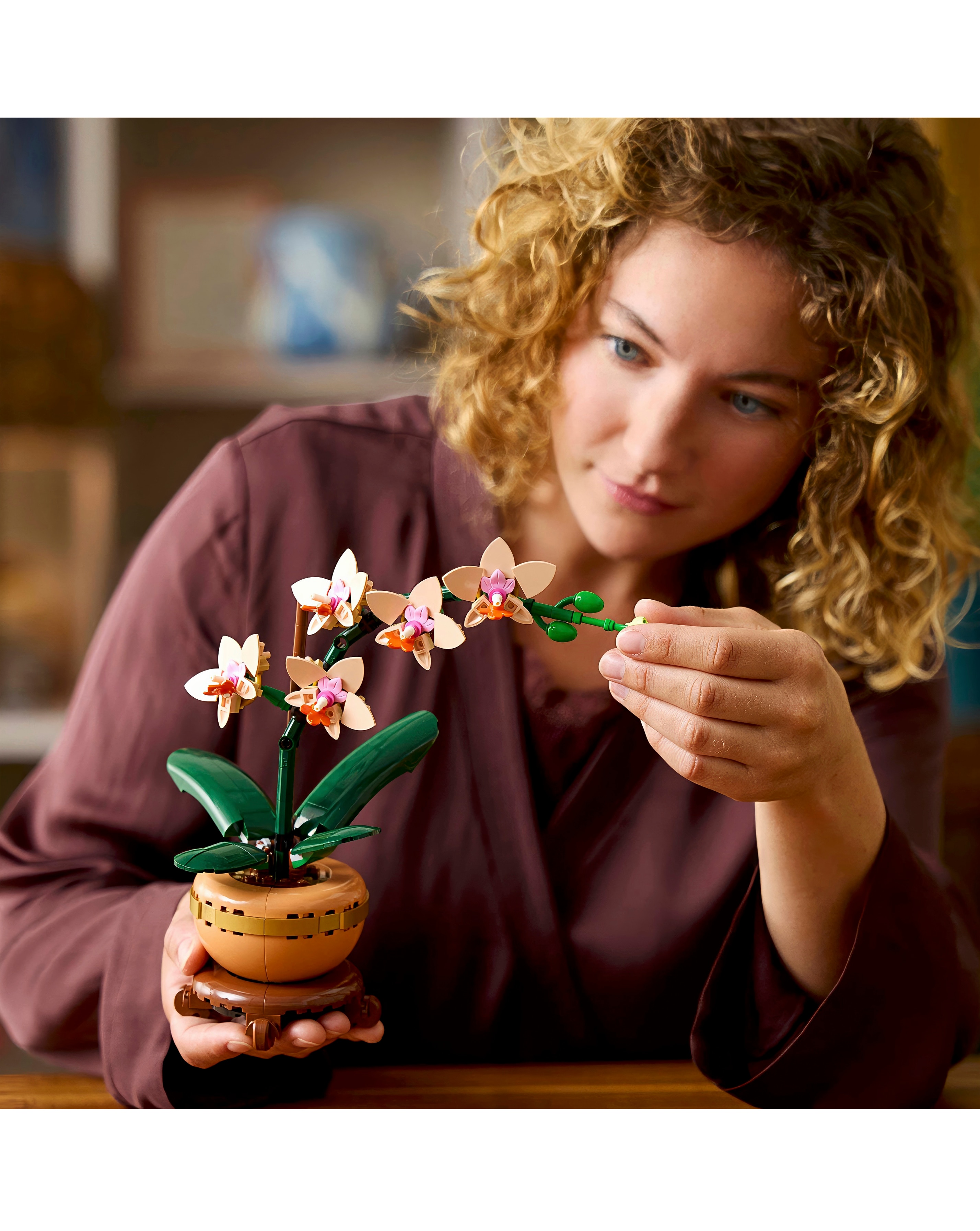 LEGO Botanicals Mini Orchid 10343 | JD Williams