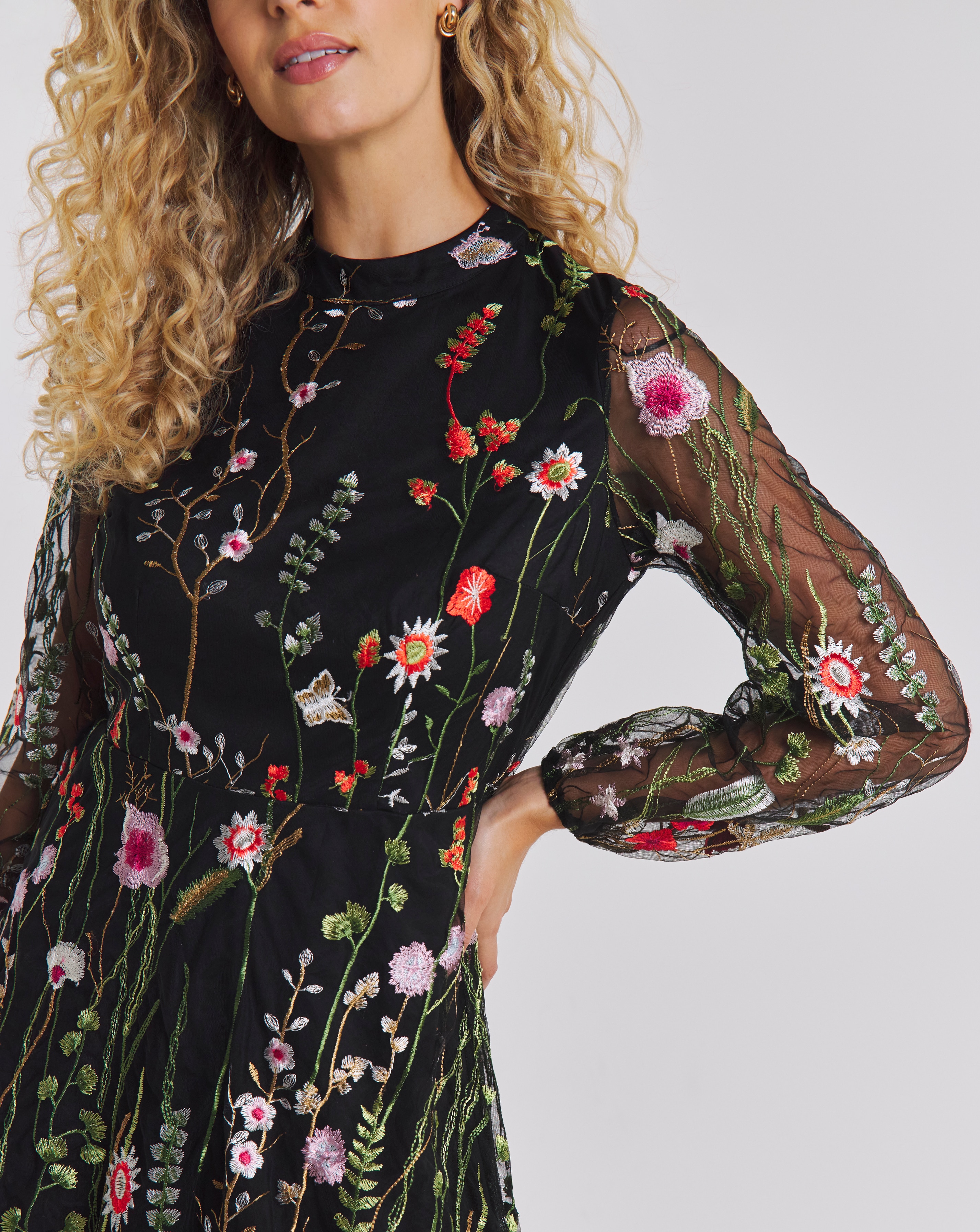 Joe Browns Ophelia Embroidered Dress | JD Williams