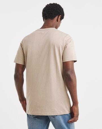Pure Cotton V Neck T-Shirt Long Length-Stone
