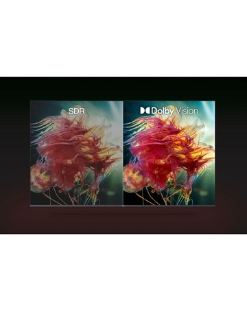 TCL 65In 65PF650K LED 4K HDR PRO Smart Fire TV with Freely