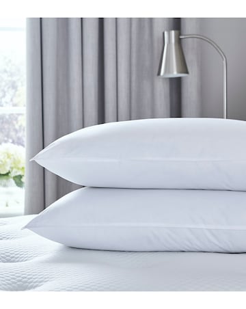 Silentnight Pure Cotton Pack of 2 Pillows