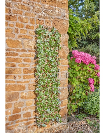 Solar Inlit IvyTrellis