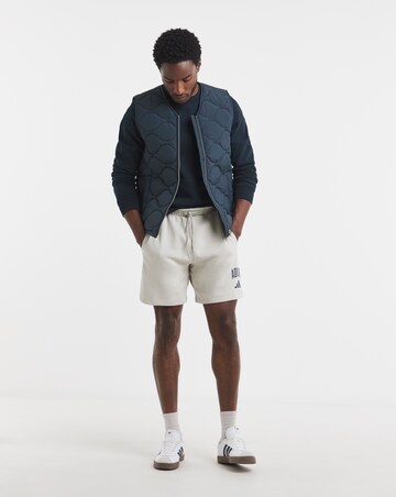 adidas Collegiate Logo Shorts