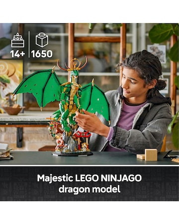 LEGO NINJAGO The Guardian Dragon Display Building Kit with Master Wu 71847