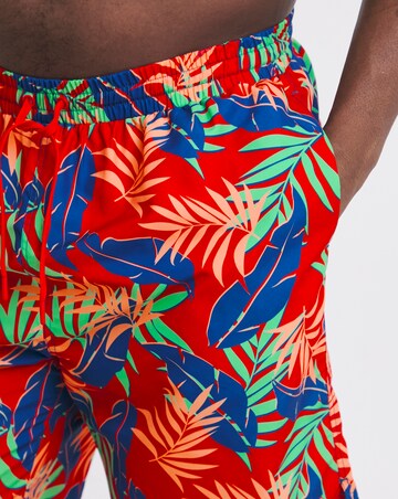 2 Pack Tropical Swim Shorts Long