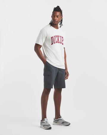 Dickies Short Sleeve Aitkin Varsity T-Shirt - Ecru