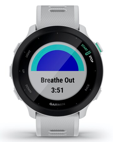 Garmin Forerunner 55 GPS Running Smart Watch - White