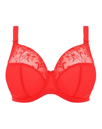 Elomi Charley Plunge Wired Bra Salsa