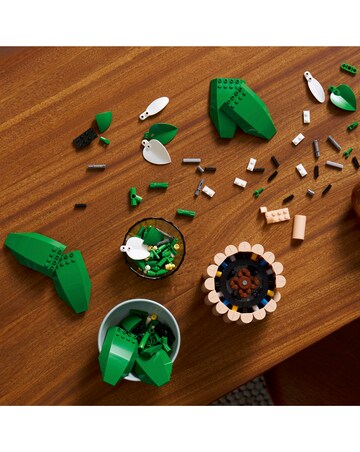 LEGO Botanicals Peace Lily 11504