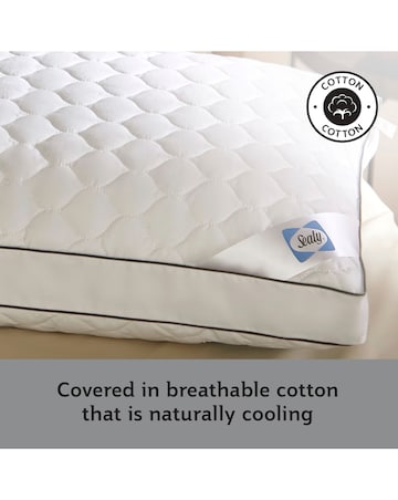 Sealy Side Sleeper Pillow