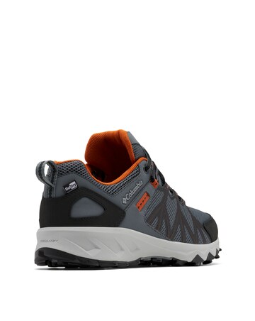 Columbia Peakfreak II Outdry Trainers