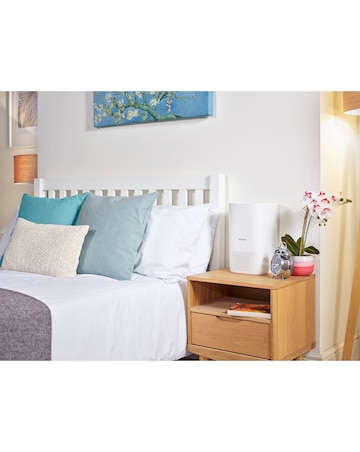 Dimplex DXBRVAP4 Air Purifier