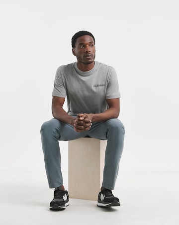 Napapijri Sovana Back Graphic T-Shirt - Grey Marl