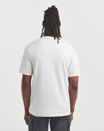 Dickies Short Sleeve Aitkin Varsity T-Shirt - Ecru