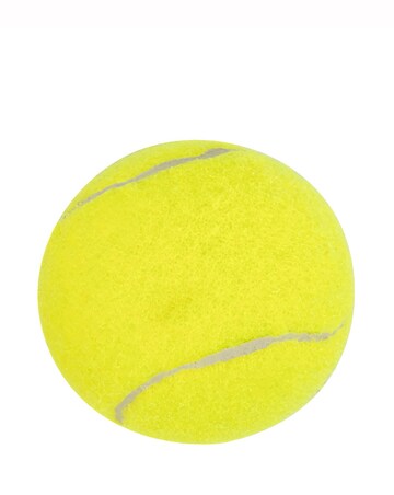 TP Wooden Cricket Set