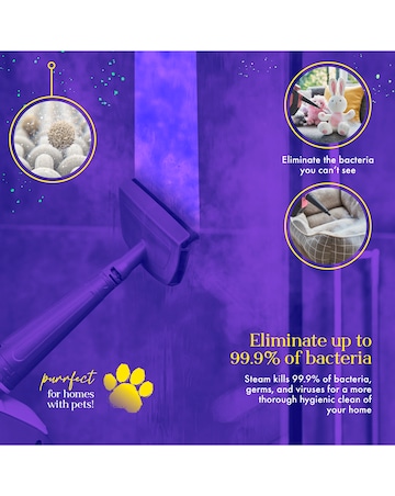 Swan TV's Queen of Clean Handheld Steam Cleaner