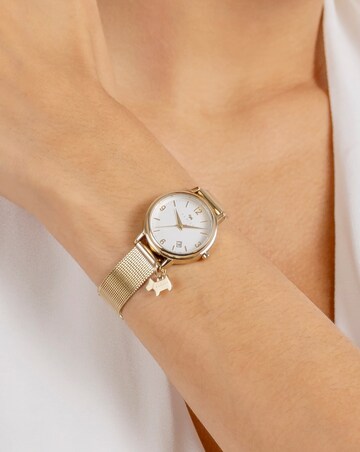 Radley Gold Plated Mesh Strap Watch