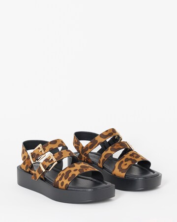 Hawk Multi Strap Buckle Sandals - Wide Fit (E)