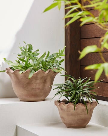 Ivyline Outdoor Ada Scalloped Edge Bowl Planter - Set of 2