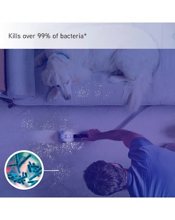 Vax SpotWash Home Pet-Design Spot Cleaner