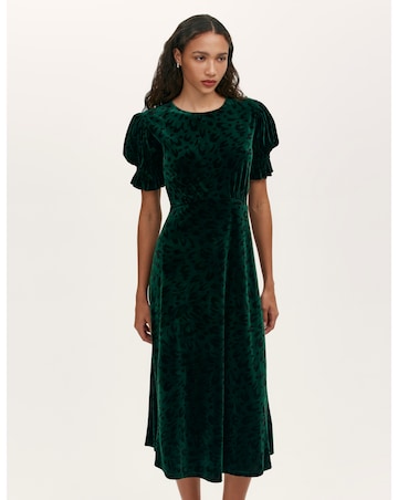 Finery London Animal Print Velvet Dress