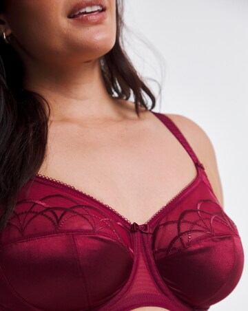 Elomi Cate Full Cup Wired Bra Berry
