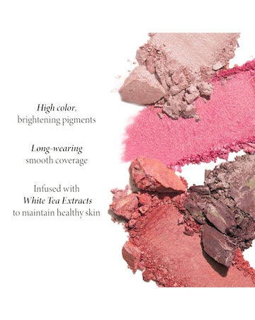 Laura Geller Baked Blush-n-Brighten Marbleized Blush - Sunlit Rose