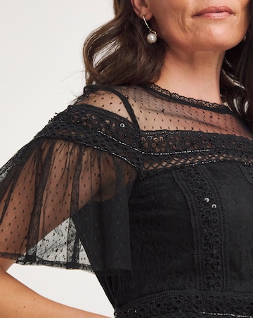 Joanna Hope Mesh Lace Beaded Dress