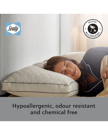 Sealy Side Sleeper Pillow